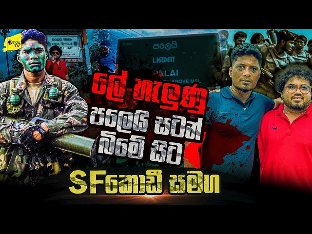 ලේ හැලුණු පලෙයි සටන් බිමේ සිට SF කොඩී සමග | WANESA TV class=