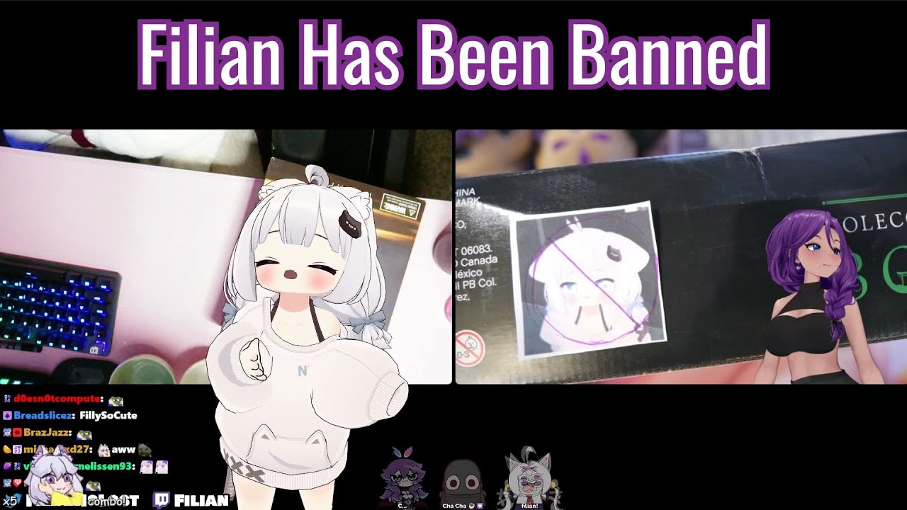 Mom's Lego Set Has An Anti Filian Label