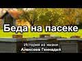 Беда на пасеке. Алексеев Геннадий. Истории из жизни. МСЦ ЕХБ