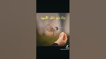 سورة العاديات