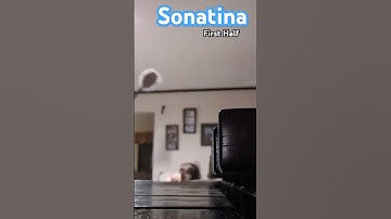 Thumbnail of Ruff Draft~Sonatina first half RCC ✨️AUDITION✨️ #percussion #music #sonatina #marimba #audition #rcc