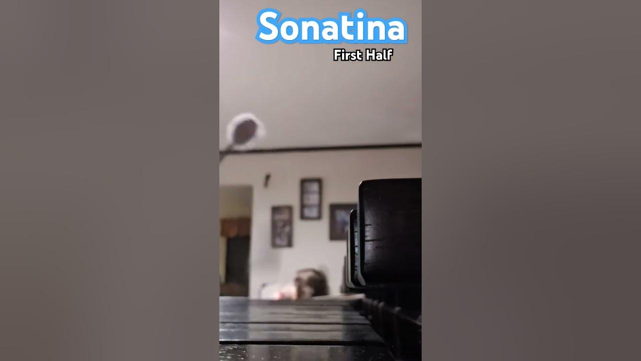 Ruff Draft~Sonatina first half RCC ✨️AUDITION✨️ #percussion #music #sonatina #marimba #audition #rcc Ruff Draft~Sonatina first half RCC ✨️AUDITION✨️ #percussion #music #sonatina #marimba #audition #rcc