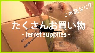 6000円分フェレット用品に課金した - ferret lab #142