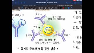 선주고 디딤영상 특이적 방어작용