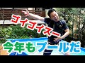 【今年も庭にプール2022】気持ちよさゴイゴイスー!【家族大喜び!】