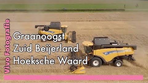 Twee New Holland combines op één veld in Zuid Beijerland Hoeksche Waard