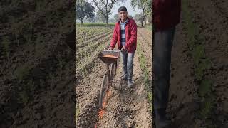 Amazing Desi Jugaad Machine for Carrot Farming 😱 | Seed Planting Made Easy