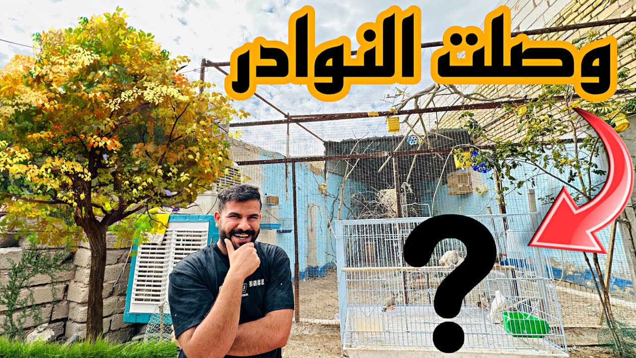 اجمل الطيور تدخل المحمية 😱مرض غريب يصيب الدجاج