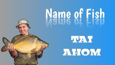 Learn Tai Ai || Aiton || Name of Fish.