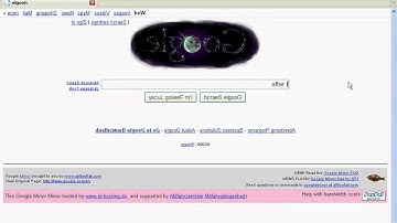 Google Mirror:Elgoog