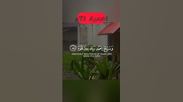 ماهر المعيقلي تلاوة خاشعة #تلاوة_خاشعة #تيك_توك #اكسبلور #ترند