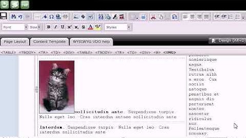 How to upload and use images in RVSiteBuilder