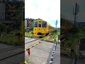 【なのはな号】【中名下踏切】 を通過します。 #shorts #JR #train