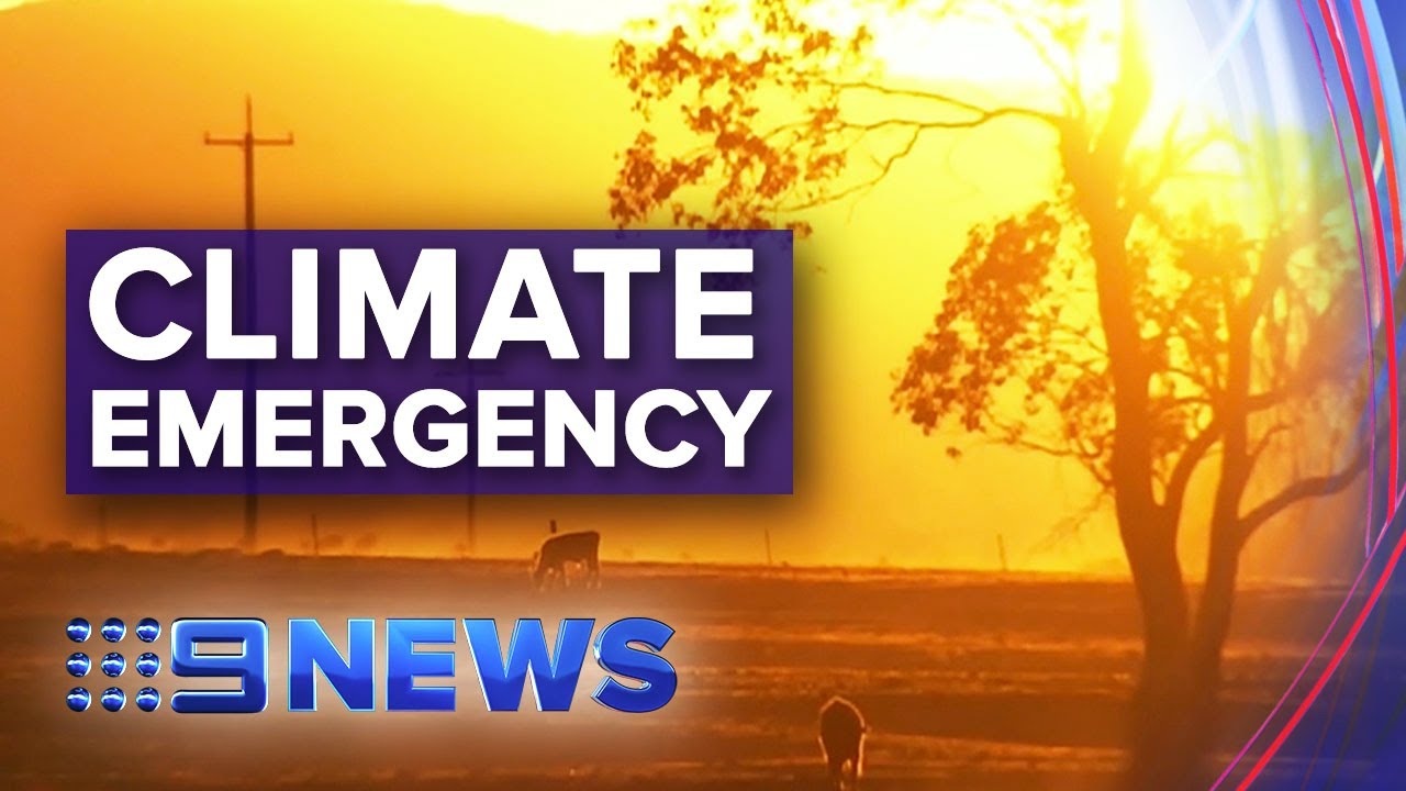Thousands of scientists join forces to declare climate emergency | Nine ...