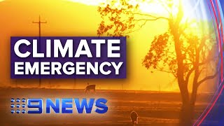 Thousands of scientists join forces to declare climate emergency | Nine News Australia