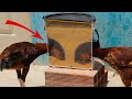 Como hacer Comedero para gallinas - chicken feeder