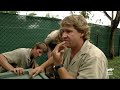 Steve Vs. The Craziest Crocs He's Ever Encountered | The Crocodile Hunter | Animal Planet