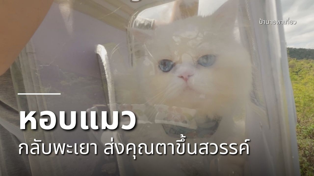หอบแมวกลับพะเยา... ไปส่งคุณตาขึ้นสวรรค์ ตอนที่ 1 | EP483
