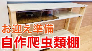 120cmケージとレプタイルボックスが置ける木製オープンラックを作る【爬虫類棚DIY】