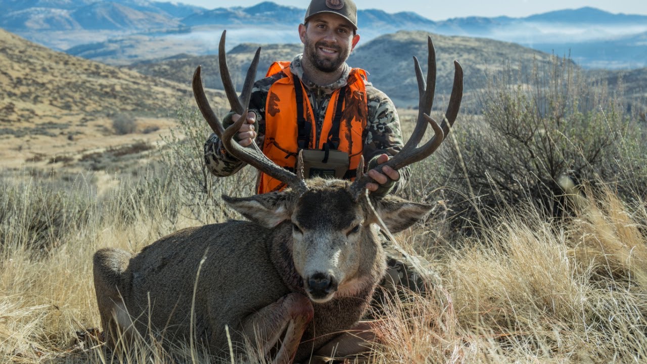 BIG BUCK DOWN Washington late rifle mule deer hunt part 2 YouTube