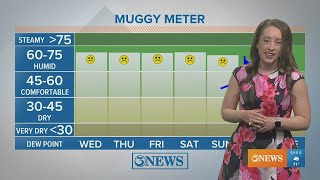 Warm, muggy, and breezy  pattern continues until the next cold front early next week