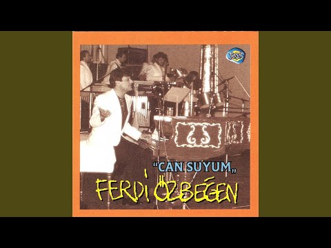 Her Gece