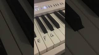 Lesson 4 - how to label keys on the piano