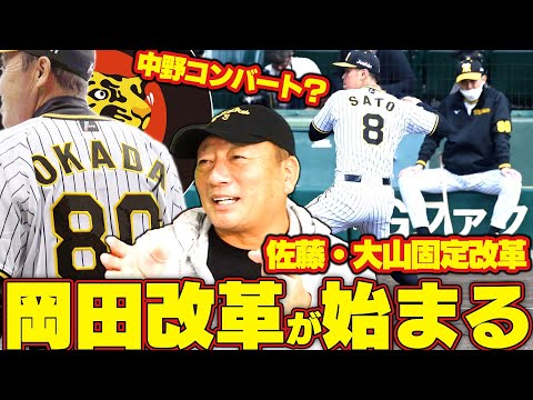 阪神岡田監督始動‼︎】佐藤輝明・大山を全試合固定？中野
