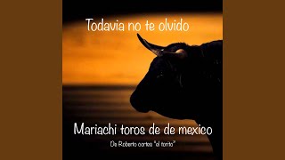 Video thumbnail of "Mariachi Toros De Mexico - Perfect Version Mariachi"