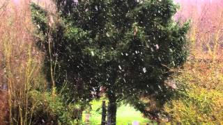 SnowTimeLapse