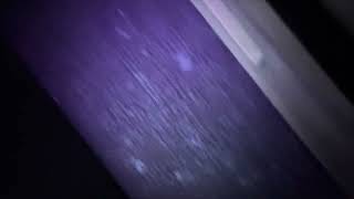 SpringHill Suites Salt Lake City Draper Review | Honest Stay Breakdown | Worth the Price?