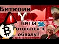 Биткоин КИТЫ Готовятся к обвалу? Уоррен Баффетт и $800 000 000 мгновенной прибыли