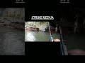 Strike kedua #shorts #mancingwader #shortvideo #shortsviral #strike