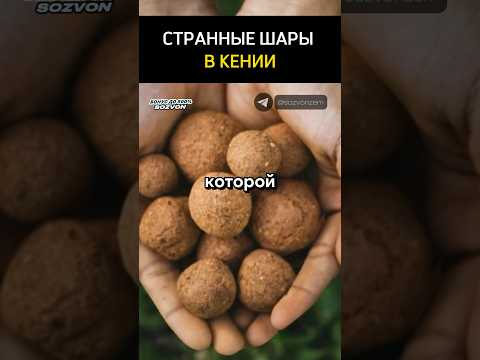 Странные шарики в