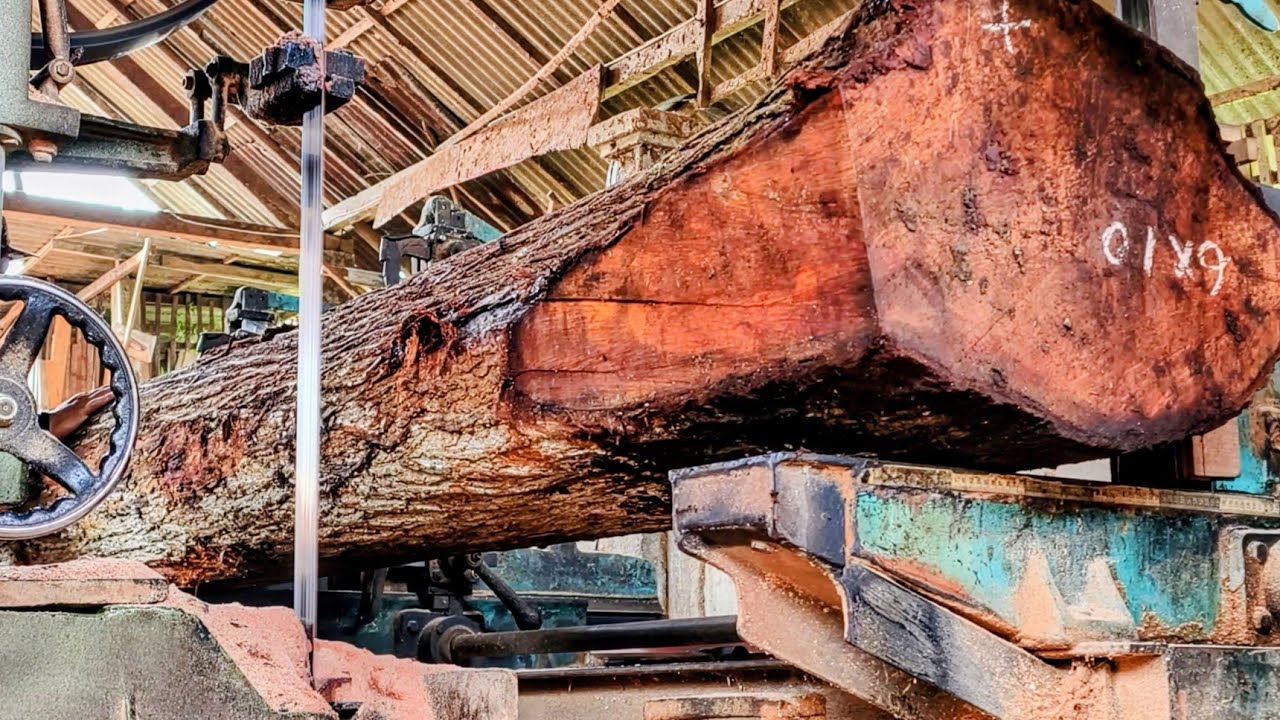 Sawing long mahogany logs at the Sawmill using manual methods
