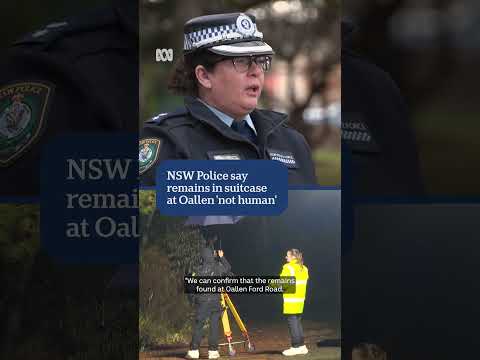 NSW Police say remains in <strong>suitcase</strong> at Oallen 'not human' | ABC NEWS