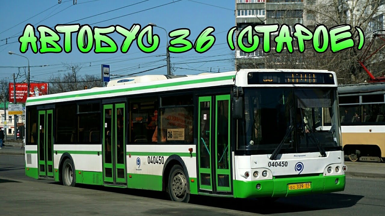 Сайт автовокзал 36 ру. Автобус 036 Дзержинск. Автобус 36. 36 Автобус 36 36 автобус 36 36 36 автобус 36. 36 Автобус Сочи.