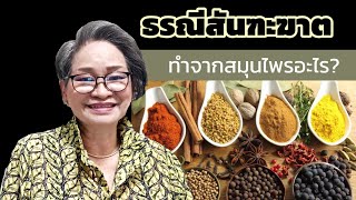กว่าจะเป็นสมุนไพรธรณีสันฑะฆาต|@healthsecret| Ep 635