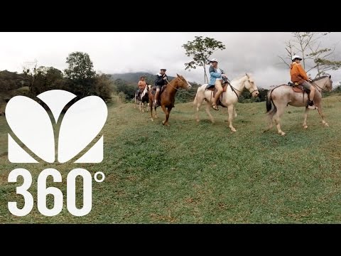 Video: 360 Dnevno Isticanje U Dominicalu, Kostarika - Matador Network