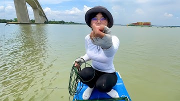 Sự Cố Ngày Đầu Tiên Đi Câu Loài Cá Ẩn Mình Dưới Dòng Nước Chảy Xiết | Câu Cá Ngát Dưới Chân Cầu Vượt