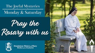 Pray the Rosary | The Joyful Mysteries | Sisters of Mary, Mother of the Eucharist