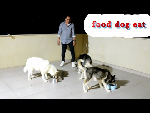 فيديو: تفكيك ملصقات أغذية الحيوانات الأليفة - معلومات ملصق طعام الكلب - معلومات ملصق طعام القطط