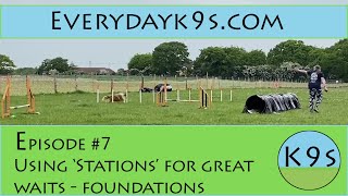 Distance Handling 101 - Foundation Skills: Episode 7 - Using 'stations' for a Great Wait