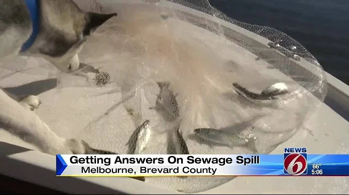 Raw sewage spill