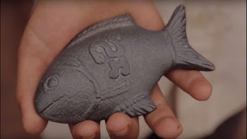 How one lucky iron fish can treat anemia | Dr. Christopher Charles | TEDxDubaiSalon