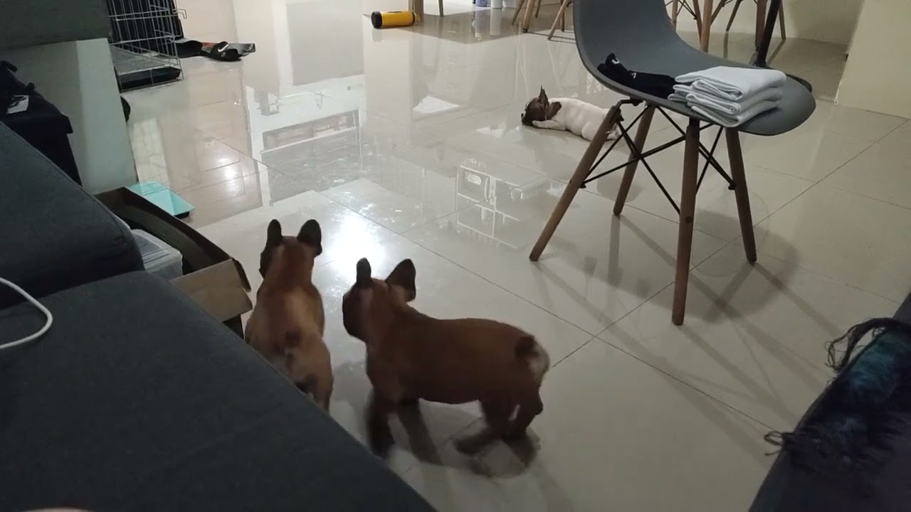 Yan gusto nila mag harutan 