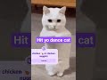 dancing cat #viral #youtubeshorts #fyp #funnyshorts