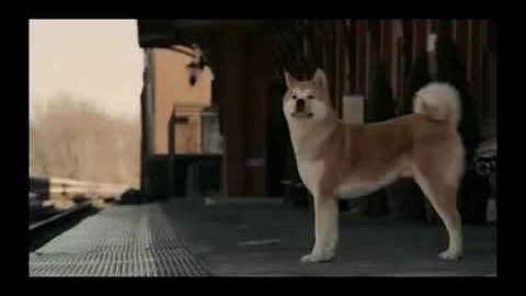 Hachiko - The World's Most Loyal Dog | The Unseen Spectacle