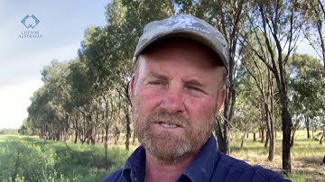 Andrew Watson, cotton grower