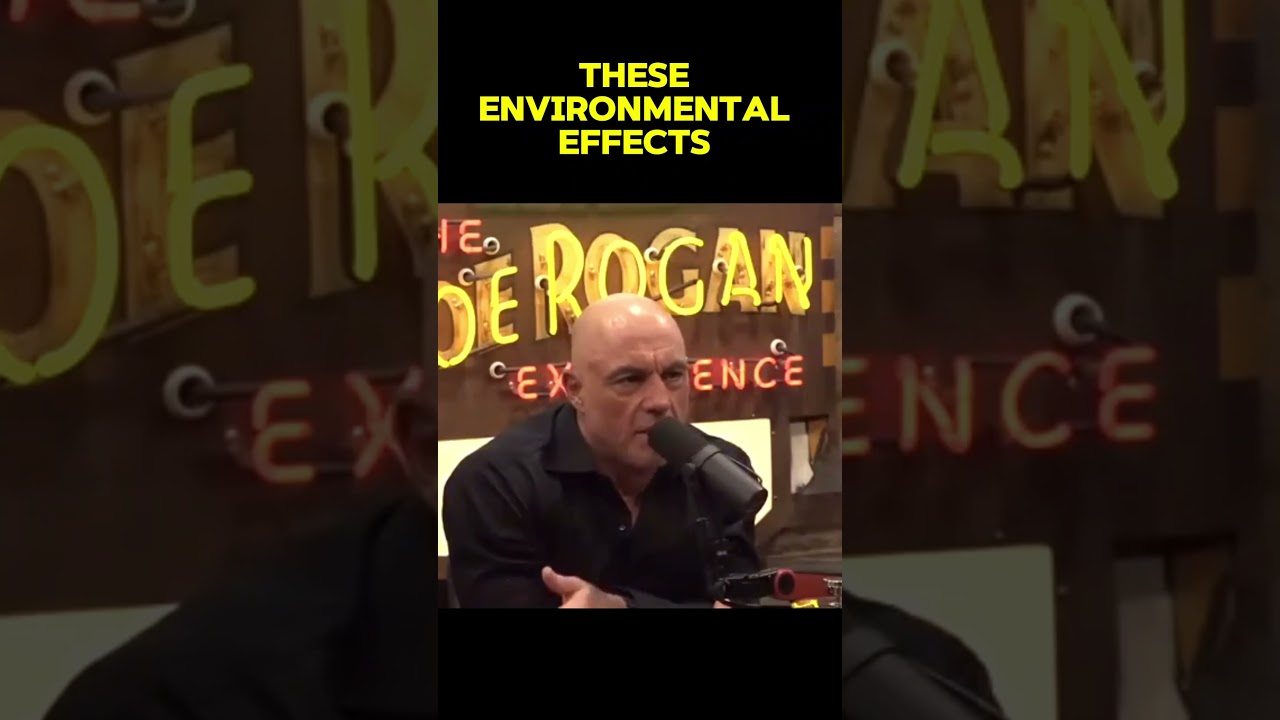 Joe Rogan Exp podcast with Donald Trump || November 2024 EP2219 #donaldtrump
